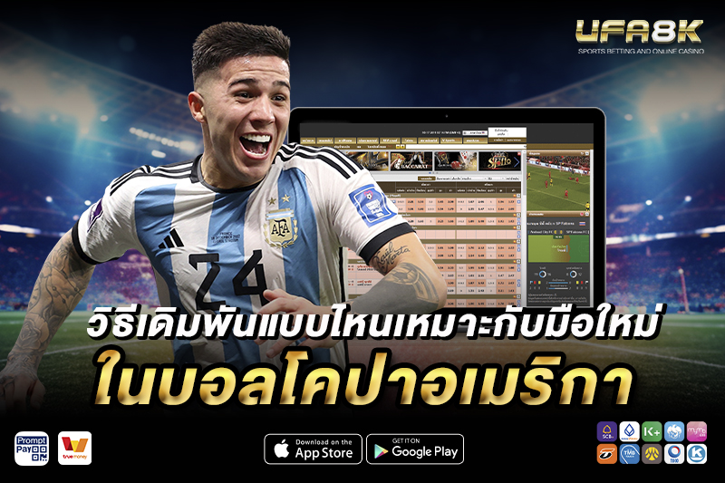 แทงบอลโคปาอเมริกา วิธีเดิมพันแบบไหนเหมาะกับมือใหม่