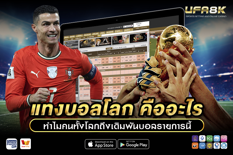 แทงบอลโลก คืออะไร